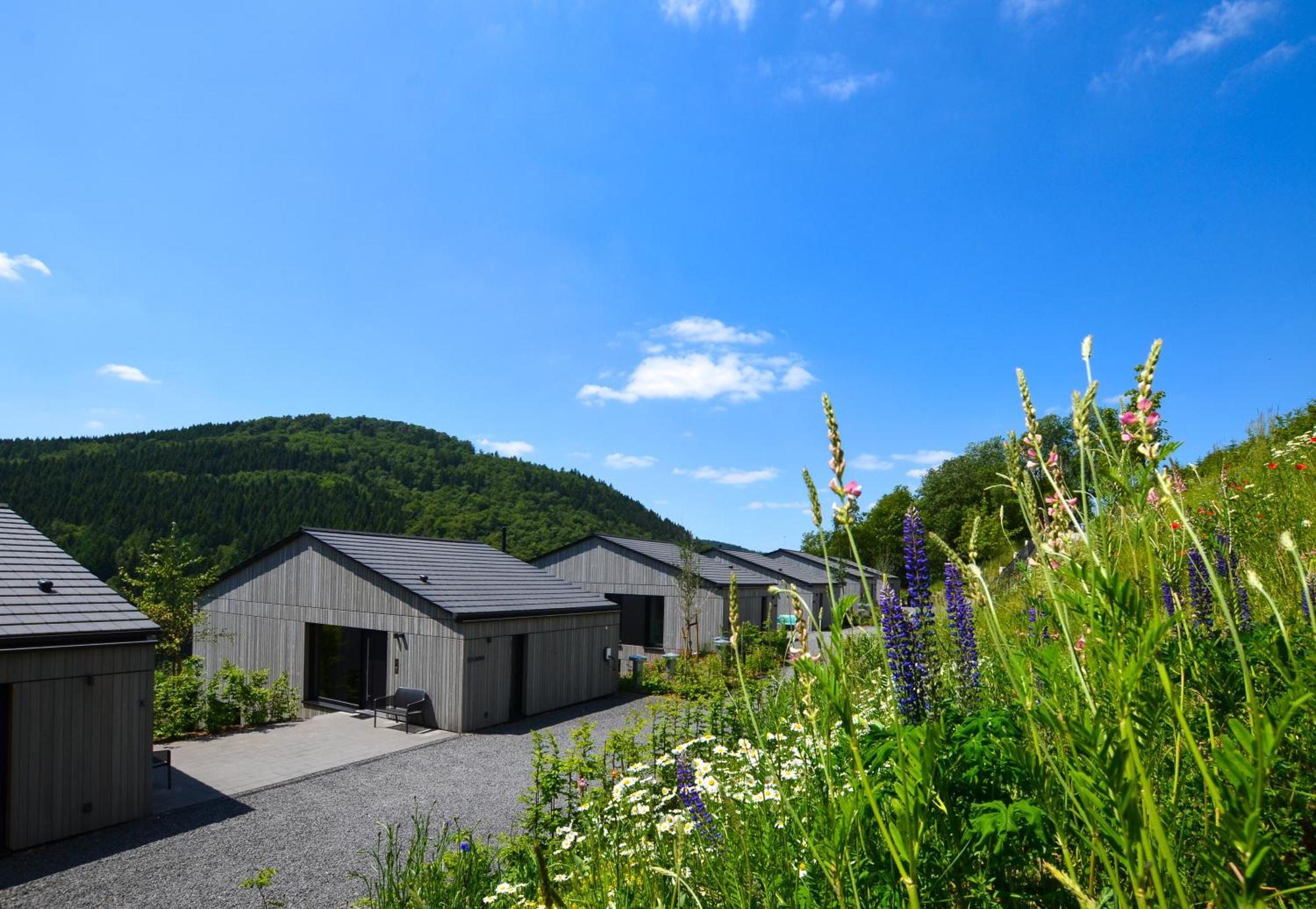 Sauerland Lodge - Haus Julius Winterberg Zewnętrze zdjęcie